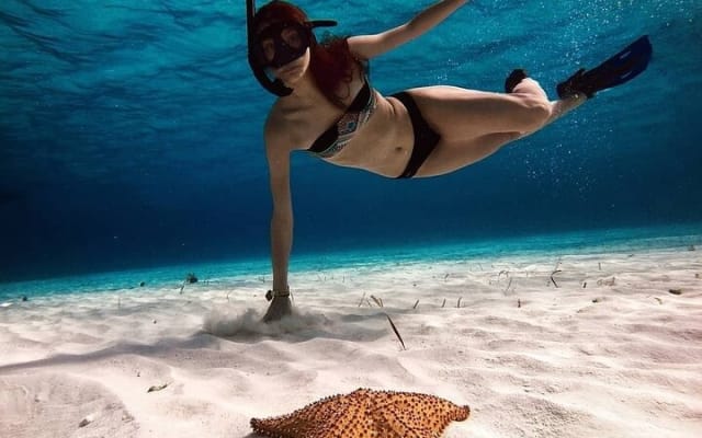 Amazing Snorkel at Cozumel Reef! Round Transportation from Tulum photo 11