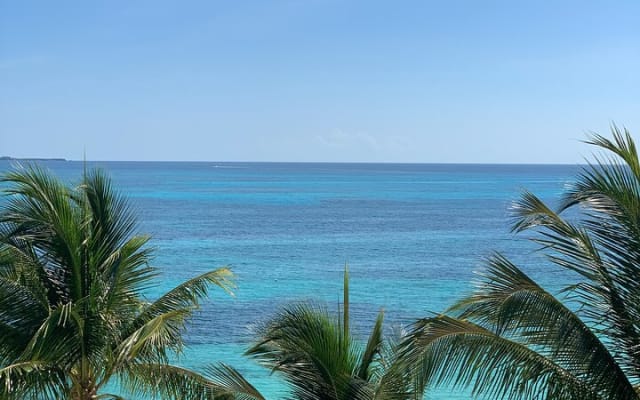 Private Transfer From Tulum to Cancun With a 2 Hour Stop photo 8
