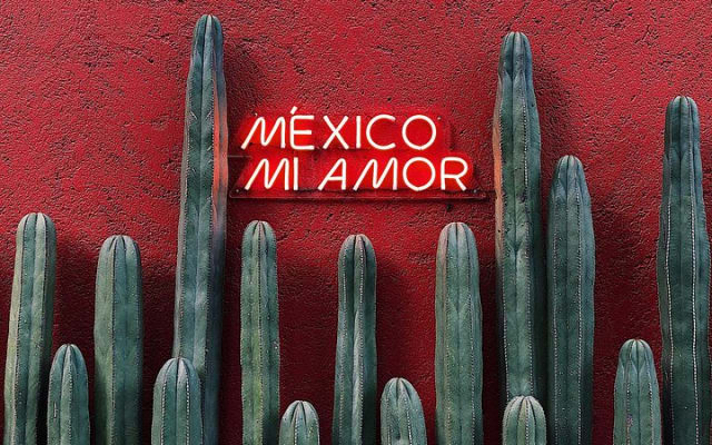 Private Transfer From Merida to Uxmal, English Speaking Driver photo 5