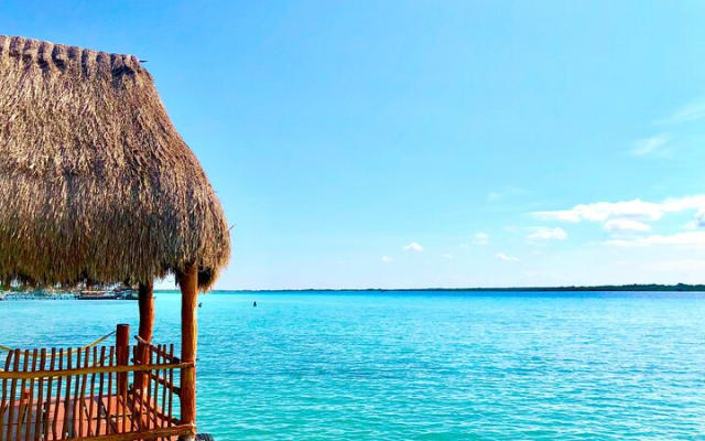 Private Transfer From Tulum to Cancun With a 2 Hour Stop photo 5