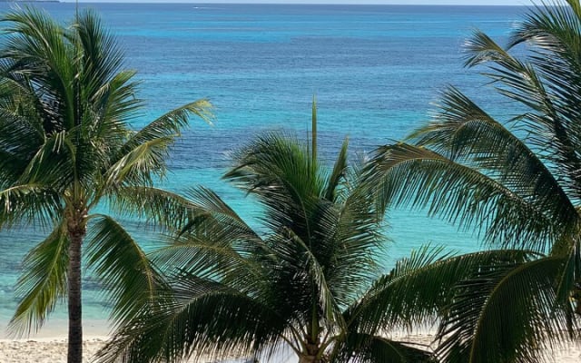 Private Day Trip From Tulum to Cancun, English Speaking Driver photo 5