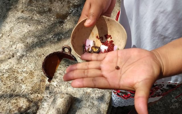 Private Tour Mayan Community Yaxunah photo 2