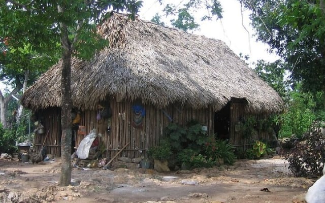 Extreme Adventure in Cobá (ATVs + Zip Lines + Cenote + Buffet) photo 14