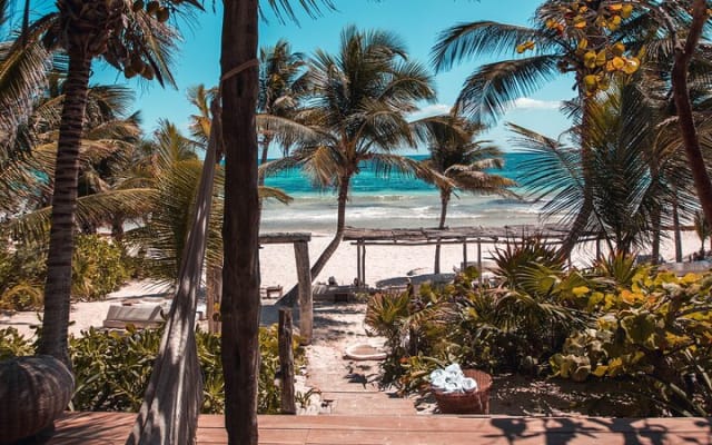 Private Transfer From Tulum to Mahahual With a 2 Hour Stop photo 8