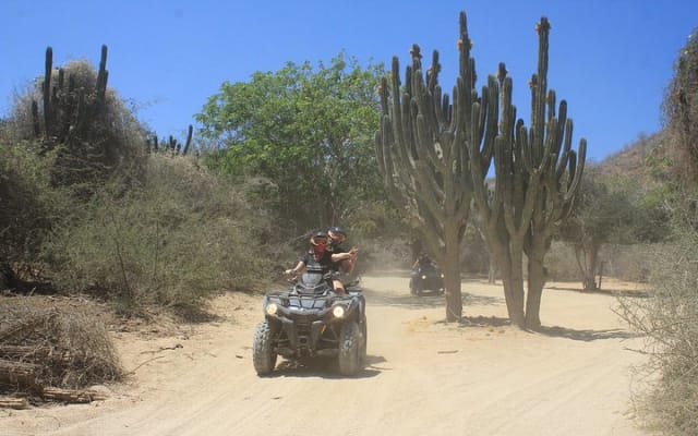 Excursion plage et désert à Los Cabos en quad automatique avec dégustation de tequila photo 8