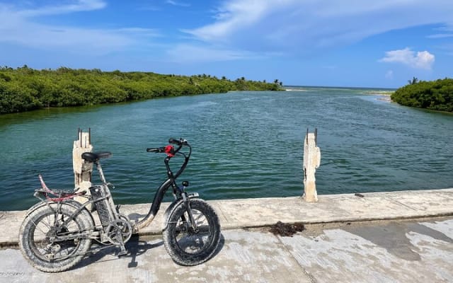 Tulum Area Experiences E-Bike Daily Rental photo 7