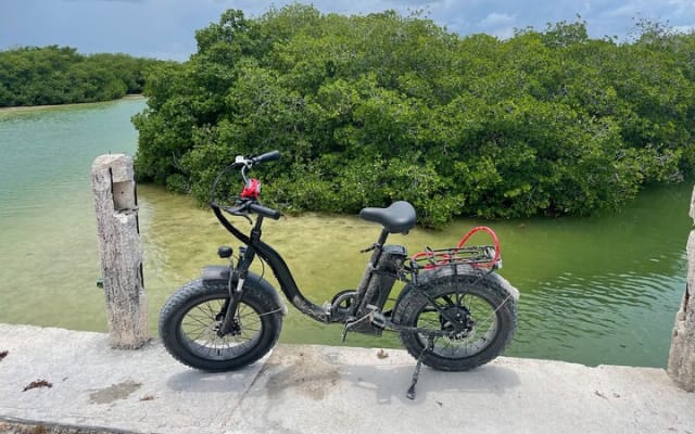 Tulum Area Experiences E-Bike Daily Rental photo 12