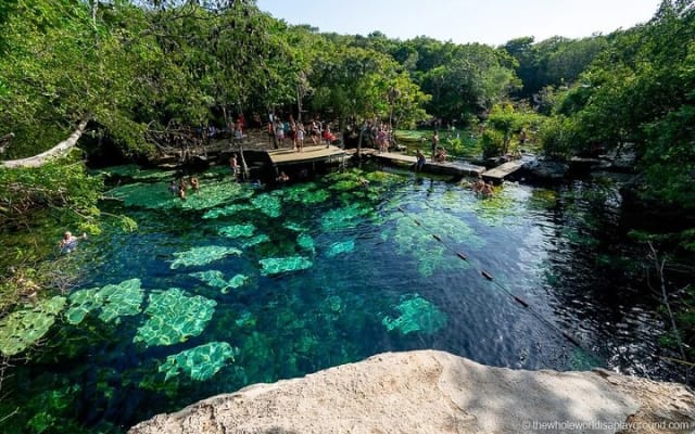 Tour guiado en e-bike por la zona de Tulum: 3 cenotes, esnórquel/nado y comida local photo 7
