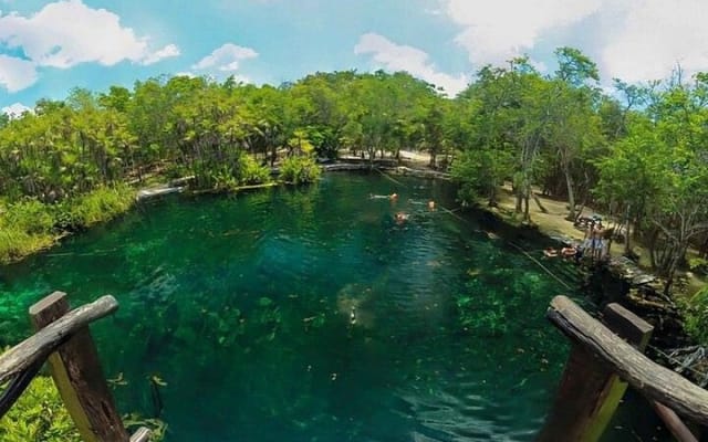 Tour guiado en e-bike por la zona de Tulum: 3 cenotes, esnórquel/nado y comida local photo 9