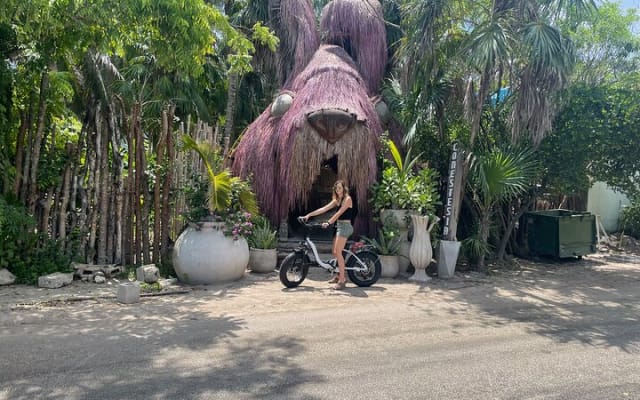 Tour guiado en e-bike por la zona de Tulum: 3 cenotes, esnórquel/nado y comida local photo 10