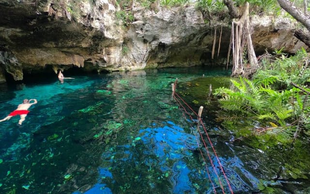 Tulum Area Guided E-Bike + Snorkeling Jungle Tour - Dos Ojos & 2 Cenotes + Lunch photo 8