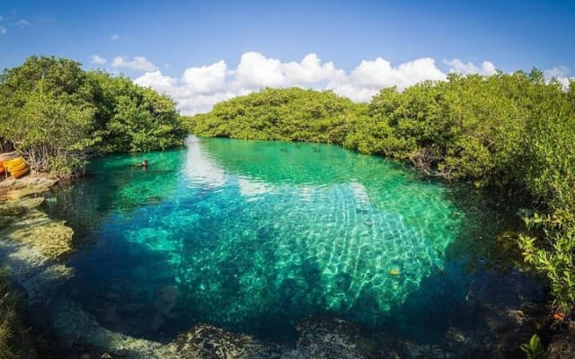 Tulum Area Experiences "Try" Scuba Diving Casa Cenote - Snacks - No experience photo 9