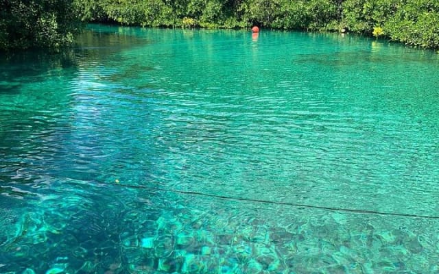 Tulum Area Experiences 2 Tank Guided Scuba Dives at Dos Ojos Cenote's + Lunch photo 3
