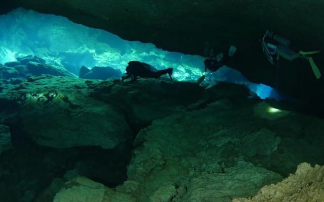 Tulum Area Experiences 2 Tank Guided Scuba Dives at Dos Ojos Cenote's + Lunch photo 5