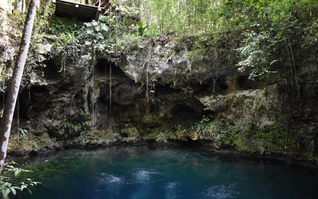 Cancun: Discover the Hidden Treasures: Exploring 3 Jungle Cenotes photo 5