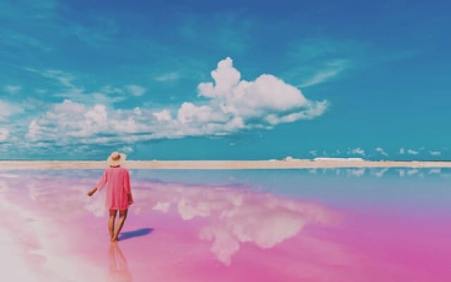 Magical Tour Las Coloradas Natural Pink Lagoon from Riviera Maya photo 12