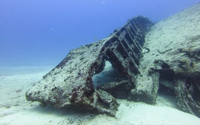 SPECIAL!! 2 Tank Wreck & Drift Reef dives