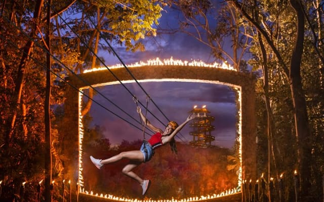 Xplor Fuego with Buffet Style Dinner and transportation photo 9