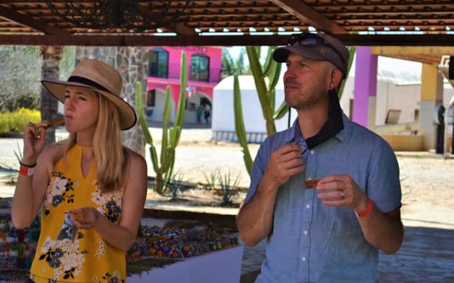 Tour de día completo a Tequila y Amatitán con diversión y cultura photo 8