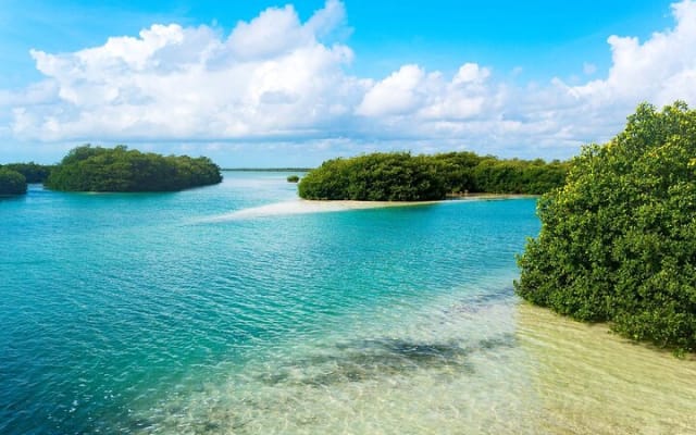 Sian Ka'an Biosphere the best nature experience with Transportation from Tulum photo 3