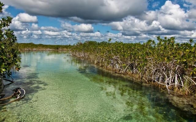 Sian Ka'an Biosphere the best nature experience with Transportation from Tulum photo 11