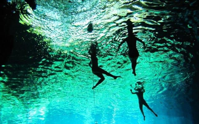Full-dayTurtle Adventure: ATV, Zipline, Cenote & Turtle Swim photo 15