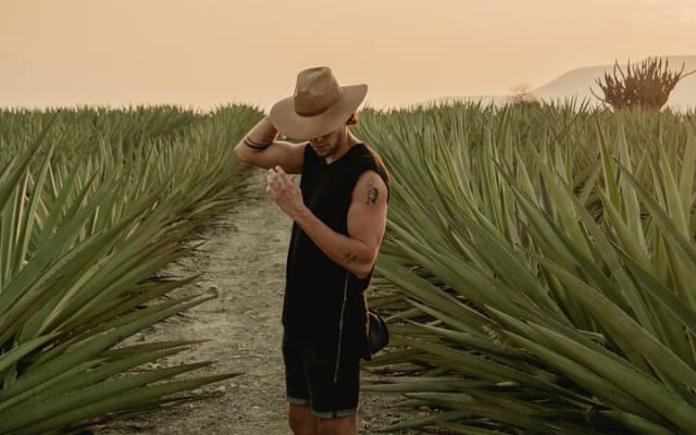 The Mezcal Journey