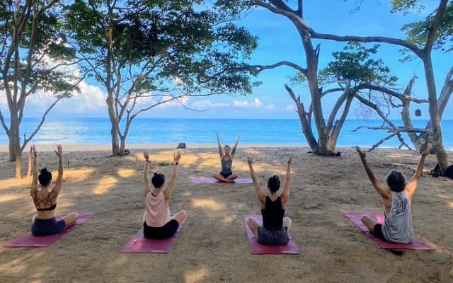 Experiencia de senderismo y yoga en la selva en México photo 2