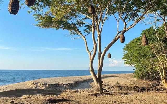 Experiencia de senderismo y yoga en la selva en México photo 4