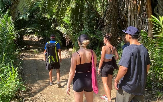 Experiencia de senderismo y yoga en la selva en México photo 5