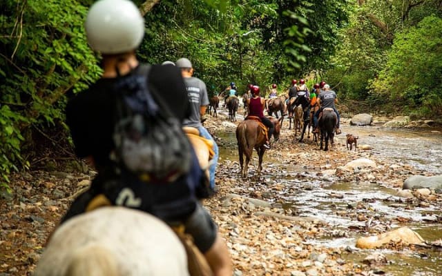 Randonnée à cheval dans la Sierra Madre depuis Puerto Vallarta photo 11