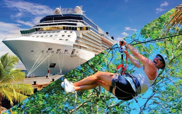 Zip Line for Cruise Ship Passengers, Puerto Vallarta Jungle Adventure