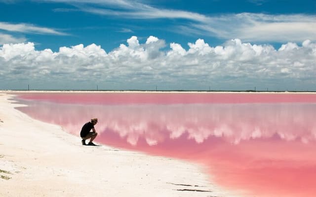 Pink Lagoons Las Coloradas & Rio Lagartos Boat Tour from Tulum photo 14