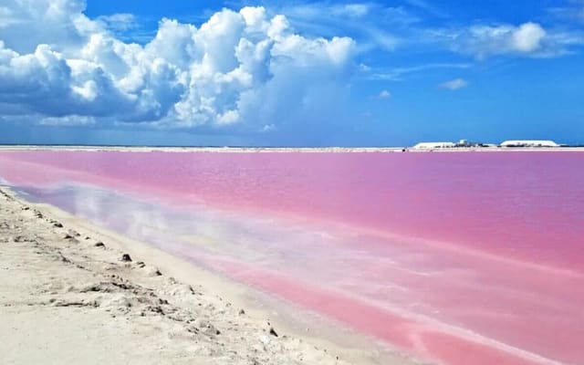 Pink Lagoons Las Coloradas & Rio Lagartos Boat Tour from Tulum photo 15