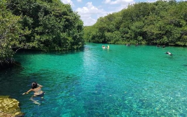 Tulum Area Guided ATV/Scooter Tour 2 Cenotes Snorkel/Swim + Jungle Cantina Lunch photo 8