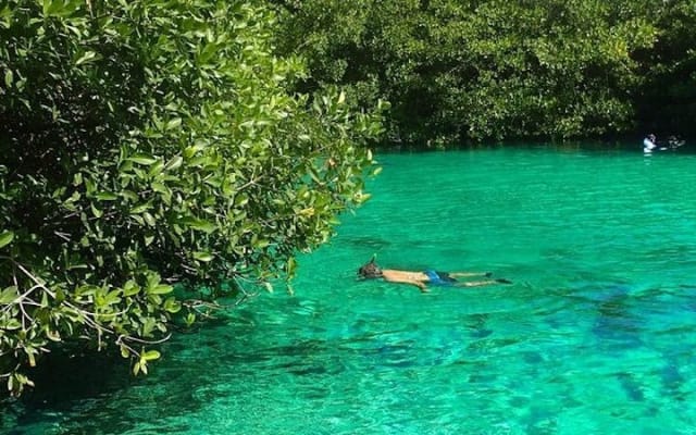 Tulum Area Experiences Guided Scooter Tour Snorkel/Swim Casa Cenote & Lunch photo 8
