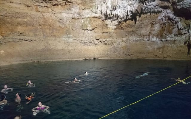5x1 Deluxe Tour Tulum, Coba, Cenote Transportation from Tulum photo 12