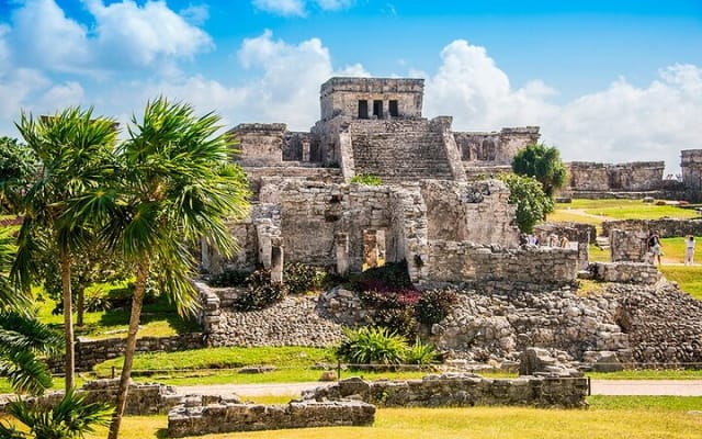 5x1 Deluxe Tour Tulum, Coba, Cenote Transportation from Tulum photo 3