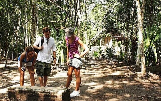 5x1 Deluxe Tour Tulum, Coba, Cenote Transportation from Tulum photo 2