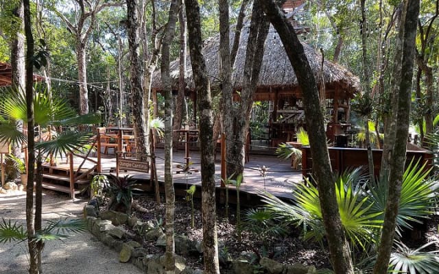Tulum Area Guided ATV/Scooter Tour 2 Cenotes Snorkel/Swim + Jungle Cantina Lunch photo 5