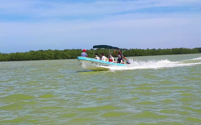 Cancun tour Las Coloradas Pink Lagoon + Rio Lagartos Tour photo 11