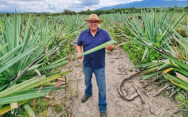 Private Tour: Monte Albán, Hierve el Agua, Teotitlán and Mezcal photo 12