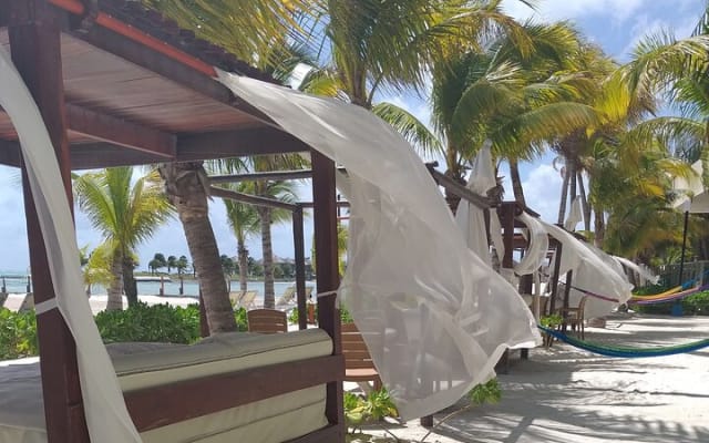 Full day pass & brunch in the best Beach Club in the Riviera Maya photo 3