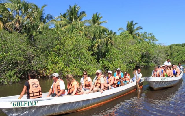 Wildlife Eco Tour on the coast of Oaxaca. photo 3
