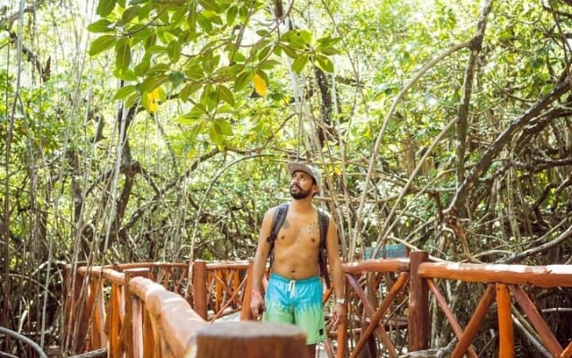 Tulum Ruins & Casa Tortuga Eco Tour! 4 Cenotes from Tulum City photo 8