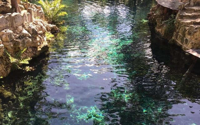 Tulum Ruins & Casa Tortuga Eco Tour! 4 Cenotes from Tulum City photo 15