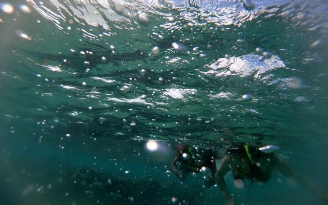 Reef Snorkel In National Park In Puerto Morelos With Lunch And Transportation photo 10