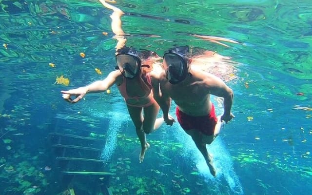 Best Tour to Tulum, Coba, Playa Del Carmen and Cenote swim photo 5