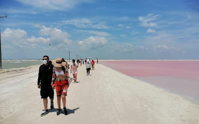 Magical Tour Las Coloradas Natural Pink Lagoon from Riviera Maya photo 4