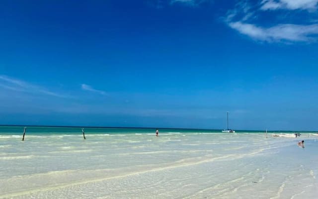 Tour Holbox by Boat - Two Island and One Cenote from Riviera Maya photo 14